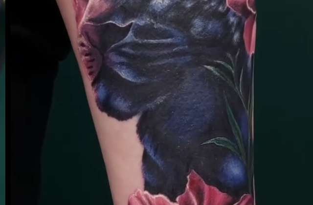 Cover-up