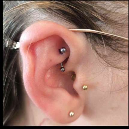 Rook